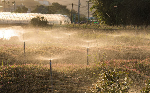 種植者灌溉服務水資源監測管理系統
