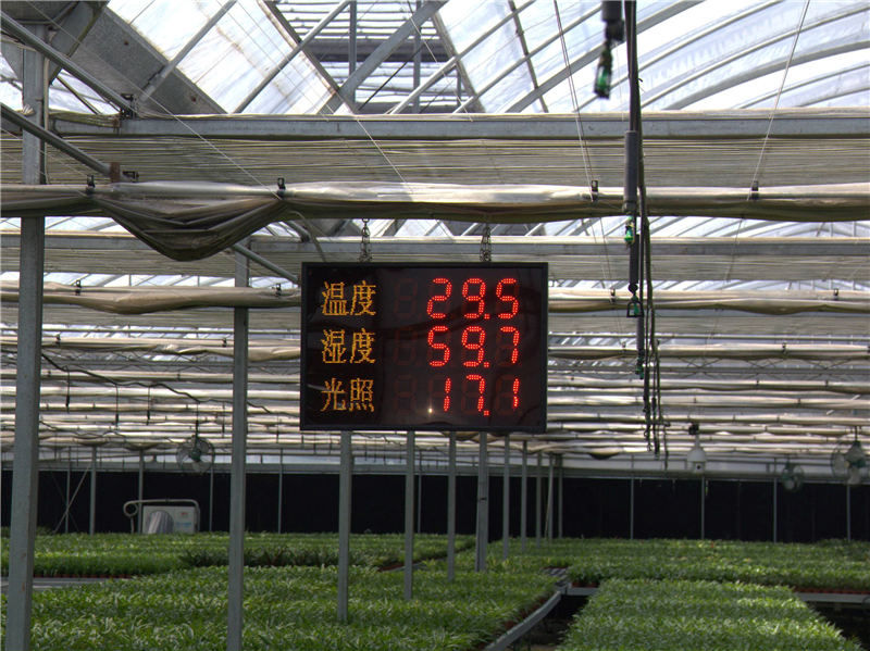 LoRa終端于農業(yè)大棚溫室種植中的應用方案03