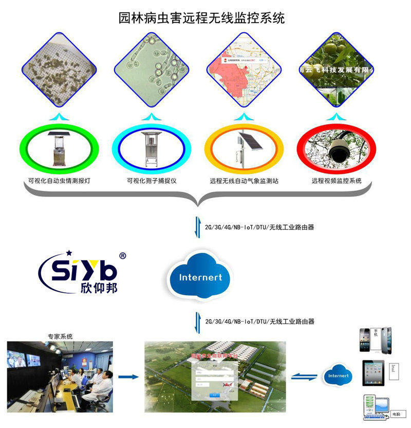 智慧園林病蟲害遠程監控預警系統方案002