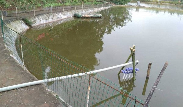 水利池塘養殖平臺監測