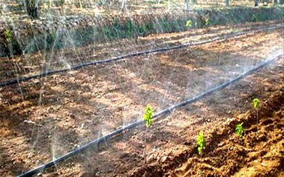 <b>自動化灌溉系統提供草坪和園林澆水 傳感器監測土壤干燥時智能化灌溉</b>