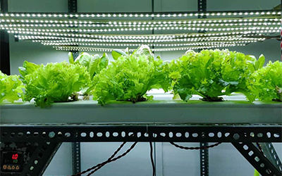 水培水質種植水培營養液中電導率和pH及EC參數自