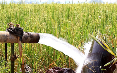 灌溉水域的遠程監(jiān)控節(jié)水灌溉土壤水分傳感器埋入土里遠程開關閥門