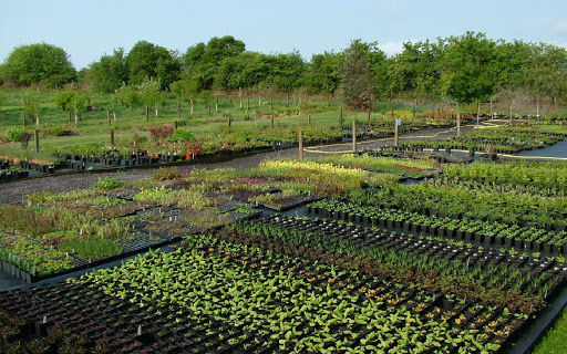 智慧園林苗圃種植自動化需求解決方案