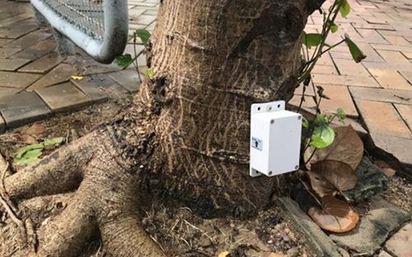 古樹名木管理樹木傾斜監測