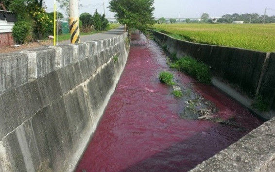 水產養殖的自動采集水質監測控制系統