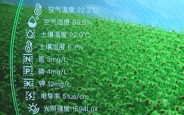 水培智能測控灌溉自動化
