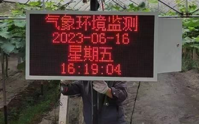 led顯示溫室大棚監測系統