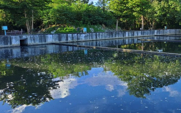 可持續(xù)河流水質(zhì)監(jiān)測水污染情況