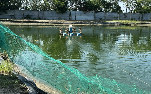 水產養殖水質酸堿度解決方案