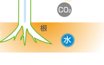 太陽輻射蒸發(fā)量自動(dòng)控制灌溉
