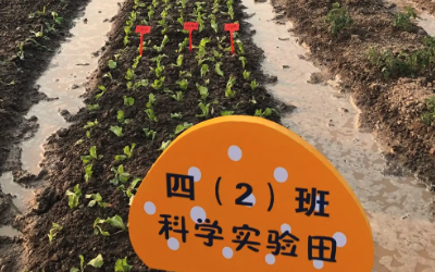 學校全科教室建設智慧農業實驗田