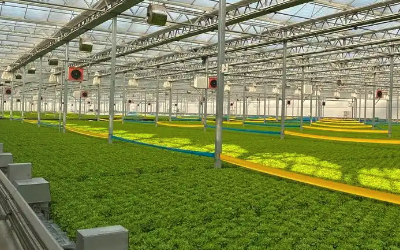 溫室大棚種植二氧化碳監測