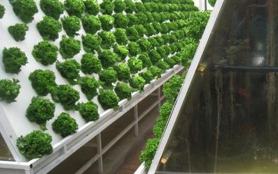 氣培種植智能霧化控制系統