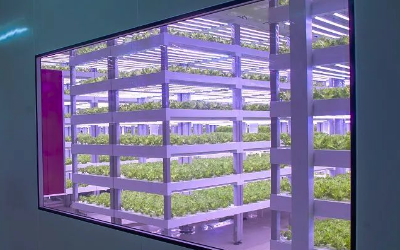 LED植物工廠光照度智能燈光控制系統
