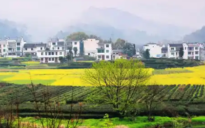 美麗鄉(xiāng)村秸稈焚燒空氣監(jiān)測
